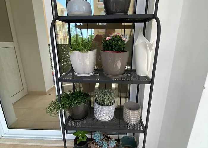 Lejlighed 2 Bedroom Apartment, Zygos Centre Block D - By Imh Travel & Tours Paphos