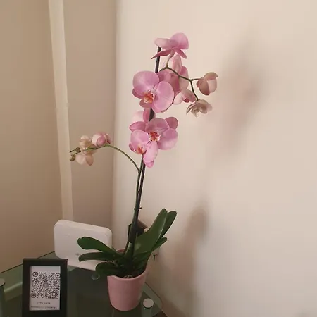 2 Bedroom Apartment, Zygos Centre Block D - By Imh Travel & Tours Apartament Pafos