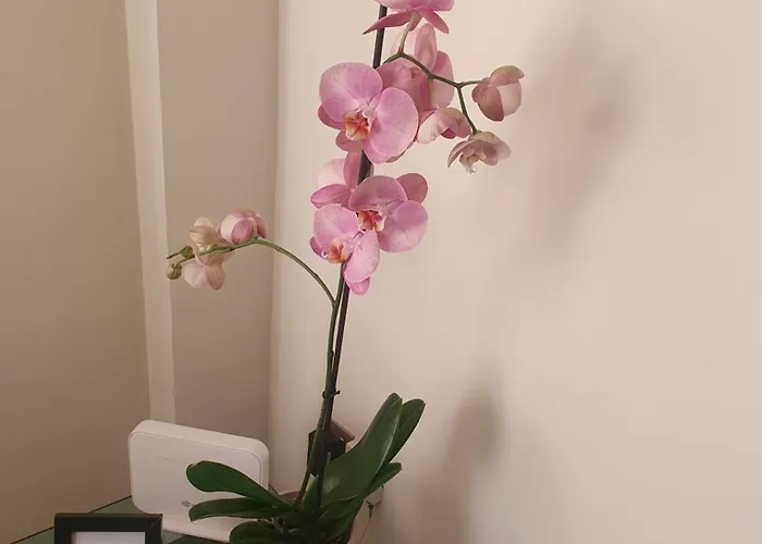 2 Bedroom Apartment, Zygos Centre Block D - By Imh Travel & Tours Apartmán Paphos